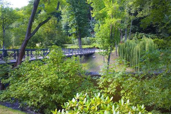 Park Mezhyhirya Ehemalige Residenz Des Präsidenten Janukowitsch Gebiet Kiew Ukraine — Stockfoto