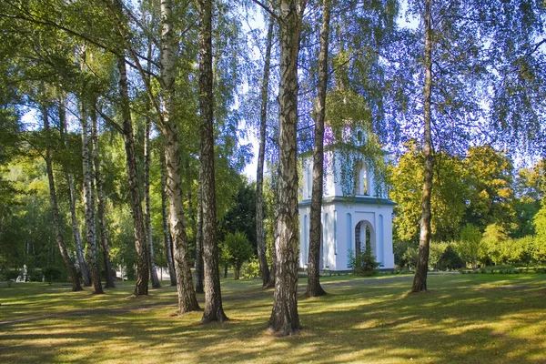 Mezhyhirya Monastery Mezhyhirya Former President Residence President Yanukovych Kyiv Region — Stock Photo, Image