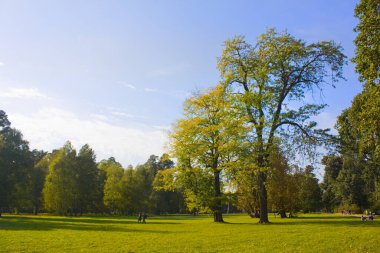 İnsanlar Ukrayna, Belaya Çerkov 'daki Park Alexandria' da yürüyorlar.