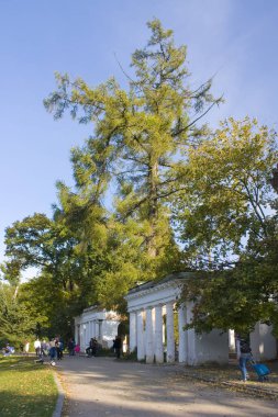 Belaya Çerkov, Ukrayna 'daki İskenderiye Parkı' ndaki antik kalıntılar