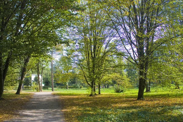 Belaya Çerkov Ukrayna Skenderiye Park — Stok fotoğraf