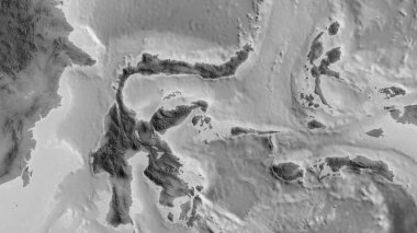 Molucca Denizi tektonik plakasının etrafındaki bölgenin gri ölçekli haritası. 3B görüntüleme