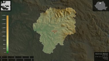 Bistrita-Nasaud, Romanya Bölgesi. Gölleri ve nehirleri olan renkli gölge verileri. Ülke alanına karşı bilgilendirici örtülerle sunulan şekil. 3B görüntüleme