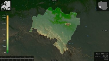 Aşağı Silezya, Polonya Voyvoda 'sı. Gölleri ve nehirleri olan renkli gölge verileri. Ülke alanına karşı bilgilendirici örtülerle sunulan şekil. 3B görüntüleme