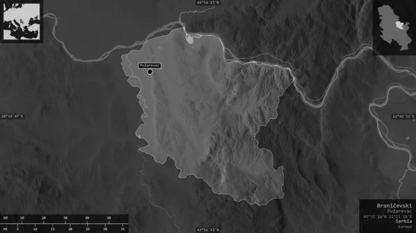Branicevski, district of Serbia. Grayscaled map with lakes and rivers. Shape presented against its country area with informative overlays. 3D rendering