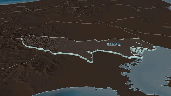 Zoom Tokio Metrópolis Japón Extruido Perspectiva Oblicua Mapa Coloreado Tocado — Foto de Stock