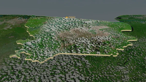 扩大对Coronie 苏里南地区 的控制 斜的角度 卫星图像 3D渲染 — 图库照片