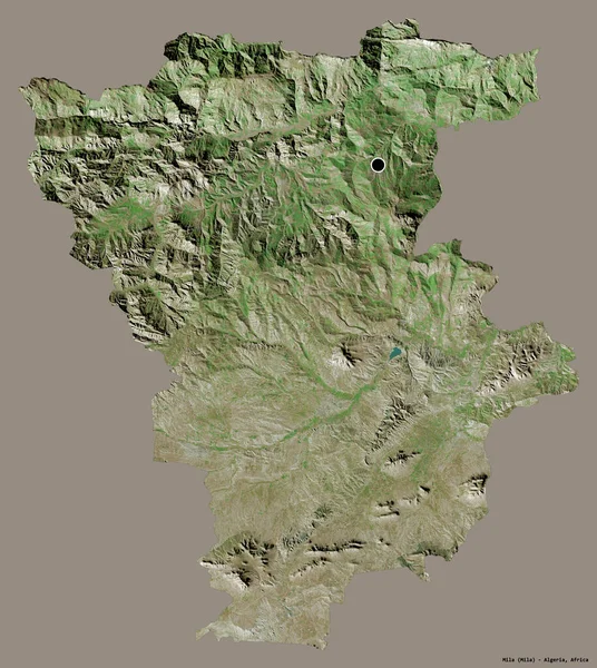 アルジェリアのミラ州の形で その首都はしっかりとした色の背景に隔離されています 衛星画像 3Dレンダリング — ストック写真
