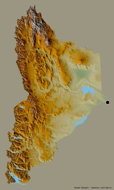 Arjantin 'in başkenti Neuquen' in katı renk arkaplanı ile izole edilmiş hali. Topografik yardım haritası. 3B görüntüleme