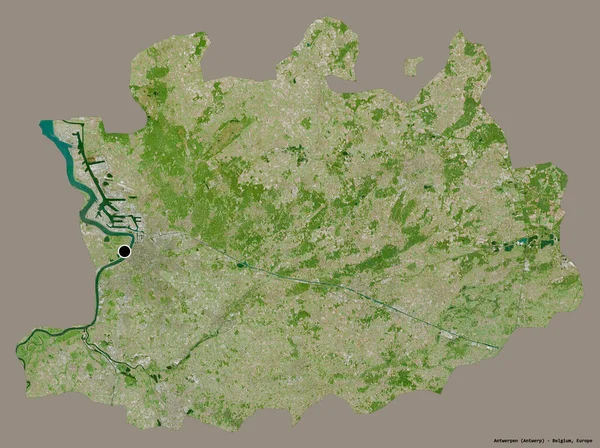 ベルギーのアントワープ州の形で その首都はしっかりとした色の背景に隔離されています 衛星画像 3Dレンダリング — ストック写真