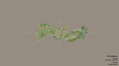 Pernambuco bölgesi, Brezilya eyaleti, katı bir arka planda izole edilmiş bir sınır kutusunda. Etiketler. Uydu görüntüleri. 3B görüntüleme