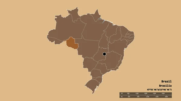 브라질의 형태를 수도인 브라질의 분할과 지역이었다 라벨이요 패턴이 텍스처 렌더링 — 스톡 사진
