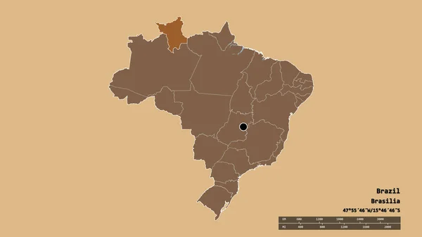 Desaturated Shape Brazil Its Capital Main Regional Division Separated Roraima — Stock Photo, Image