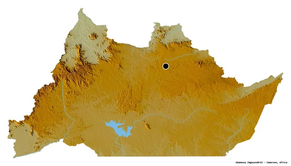 Форма Адамауа Региона Камеруна Столицей Изолированной Белом Фоне Топографическая Карта — стоковое фото