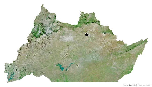 喀麦隆阿达马乌阿形状 首都为白色背景 卫星图像 3D渲染 — 图库照片