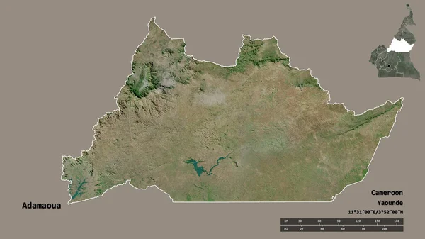 Tvar Adamaoua Region Kamerun Hlavním Městem Izolovaným Pevném Pozadí Měřítko — Stock fotografie