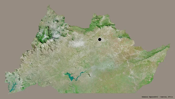 カメルーン地方のアダマウアの形で その首都はしっかりとした色の背景に隔離されています 衛星画像 3Dレンダリング — ストック写真