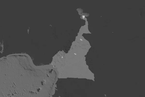 Tvar Kamerunu Oddělený Desaturací Sousedních Oblastí Mapa Nadmořské Výšky Vykreslování — Stock fotografie