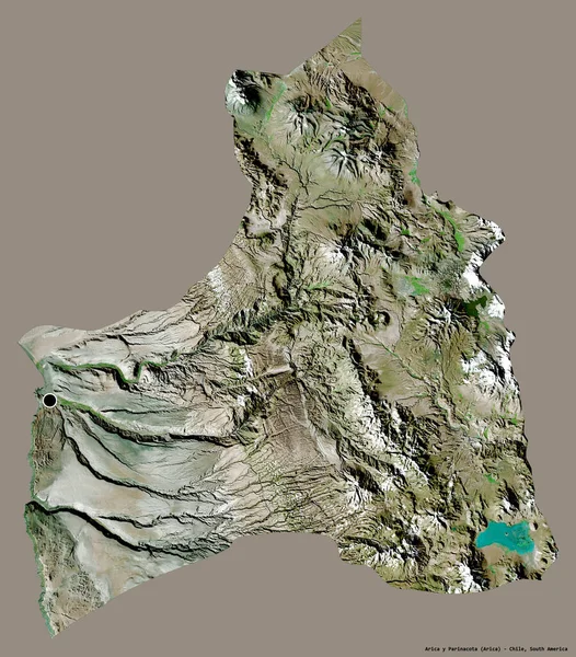 智利地区Arica Parinacota的形状 其首都为单色背景 卫星图像 3D渲染 — 图库照片