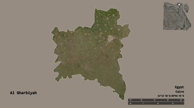 Mısır valisi Al Gharbiyah 'ın şekli, başkenti sağlam bir arka planda izole edilmiş. Uzaklık ölçeği, bölge önizlemesi ve etiketleri. Uydu görüntüleri. 3B görüntüleme