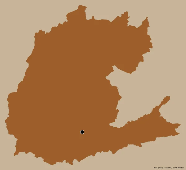 Forma Napo Província Equador Com Sua Capital Isolada Fundo Cor — Fotografia de Stock
