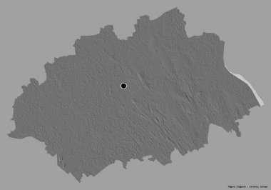 Estonya 'nın Jogeva ilçesi, başkenti katı renk arkaplanı ile izole edilmiştir. Çift seviyeli yükseklik haritası. 3B görüntüleme