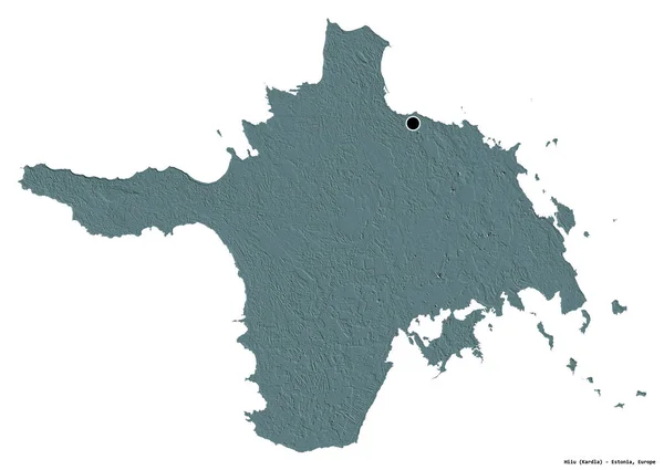 Kształt Hiiu Powiat Estoński Stolicą Odizolowaną Białym Tle Kolorowa Mapa — Zdjęcie stockowe