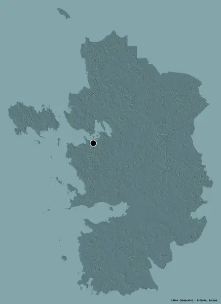 Forma Laane Condado Estônia Com Sua Capital Isolada Fundo Cor — Fotografia de Stock