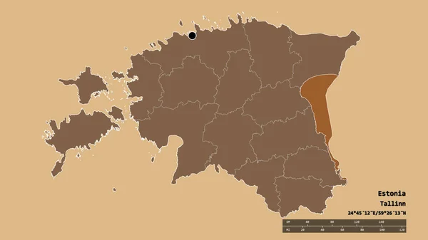 Forme Désaturée Estonie Avec Capitale Principale Division Régionale Région Séparée — Photo
