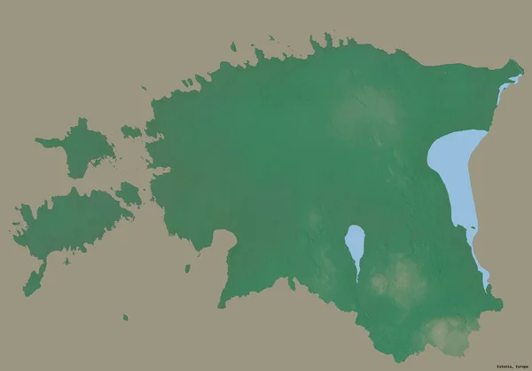 Форма Эстонии Столицей Изолирована Сплошном Цветном Фоне Топографическая Карта Рельефа — стоковое фото