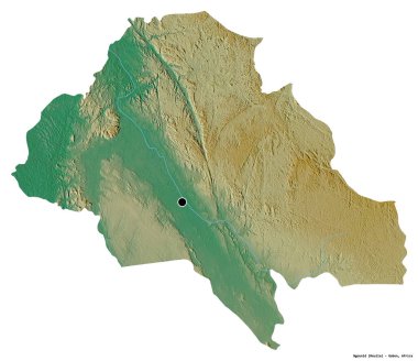 Gabon 'un başkenti Ngounie' nin beyaz arka planda izole edilmiş hali. Topografik yardım haritası. 3B görüntüleme