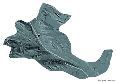 Başkenti beyaz arka planda izole edilmiş olan bağımsız Gürcistan şehri Tiflis 'in şekli. Renkli yükseklik haritası. 3B görüntüleme