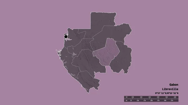 Forme Désaturée Gabon Avec Capitale Principale Division Régionale Région Séparée — Photo