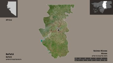 Bafata 'nın şekli, Gine-Bissau bölgesi ve başkenti. Uzaklık ölçeği, ön gösterimler ve etiketler. Uydu görüntüleri. 3B görüntüleme