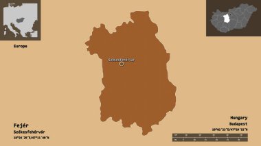 Macaristan 'ın Fejer ilçesi ve başkenti. Uzaklık ölçeği, ön gösterimler ve etiketler. Desenli dokuların bileşimi. 3B görüntüleme