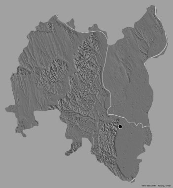 Macaristan 'ın Tolna ilçesi, başkenti katı renk arkaplanı ile izole edilmiştir. Çift seviyeli yükseklik haritası. 3B görüntüleme