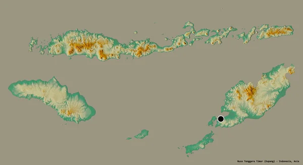 インドネシアの省ヌサテンガラ ティムールの形で その首都はしっかりとした色の背景に隔離されています 地形図 3Dレンダリング — ストック写真