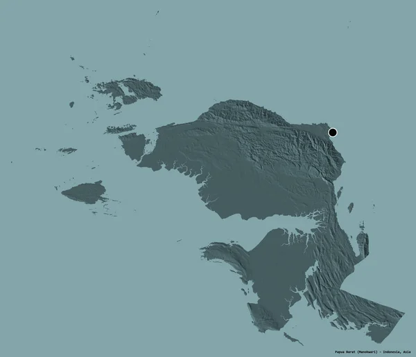 인도네시아 파푸아 모습을 있으며 수도는 색깔의 배경에 고립되어 지형도 렌더링 — 스톡 사진
