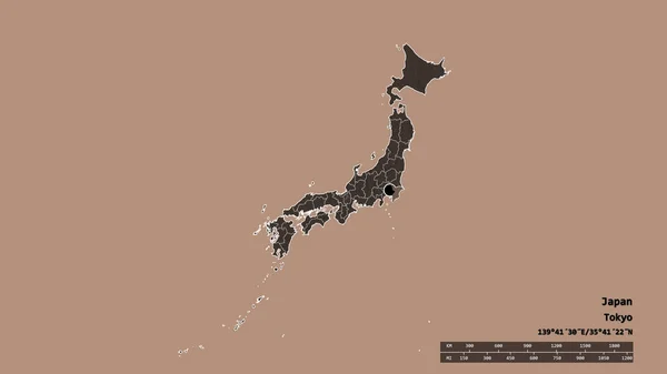 資本金 地域本部 千葉県を分離して日本の荒廃した形 ラベル 色の標高マップ 3Dレンダリング — ストック写真