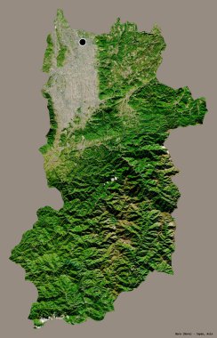 Japonya 'nın başkenti Nara' nın katı renk arka planı ile izole edilmiş hali. Uydu görüntüleri. 3B görüntüleme