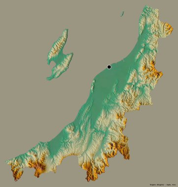 Japonya 'nın başkenti Niigata' nın katı renk arka planında izole edilmiş hali. Topografik yardım haritası. 3B görüntüleme