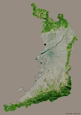 Japonya 'nın şehir merkezi Osaka' nın şekli, başkenti katı bir renk arkaplanı ile izole edilmiştir. Uydu görüntüleri. 3B görüntüleme
