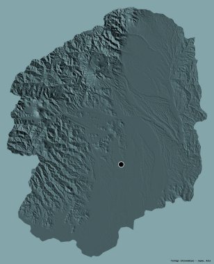 Tochigi 'nin şekli, Japonya' nın başkenti, katı bir renk arkaplanı ile izole edilmiştir. Renkli yükseklik haritası. 3B görüntüleme