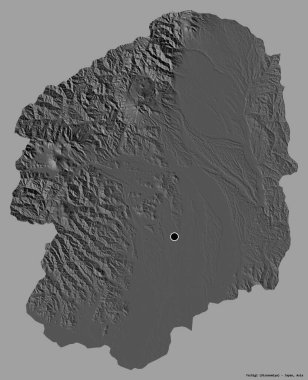 Tochigi 'nin şekli, Japonya' nın başkenti, katı bir renk arkaplanı ile izole edilmiştir. Çift seviyeli yükseklik haritası. 3B görüntüleme