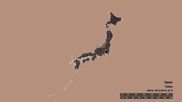 資本金 地域本部 分離された新潟エリアで日本の荒廃した形 ラベル 色の標高マップ 3Dレンダリング — ストック写真