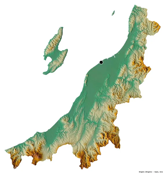 白を基調とした首都 新潟県の姿 地形図 3Dレンダリング — ストック写真