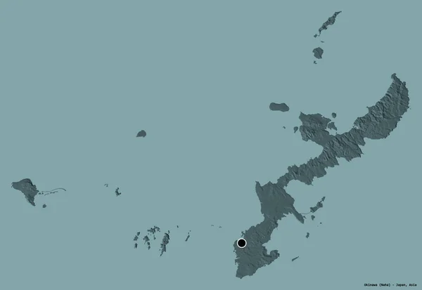 Japonya Nın Başkenti Okinawa Nın Şekli Katı Bir Renk Arkaplanı — Stok fotoğraf