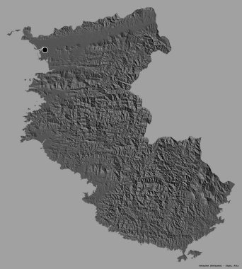 Japonya 'nın başkenti Wakayama' nın şekli, katı renk arkaplanı ile izole edilmiştir. Çift seviyeli yükseklik haritası. 3B görüntüleme