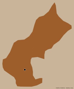 Makedonya Belediyesi Vranestica 'nın şekli, sermayesi katı renk arka planında izole edilmiş. Desenli dokuların bileşimi. 3B görüntüleme