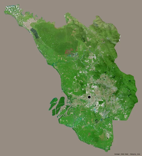Форма Селангора Штат Малайзия Своей Столицей Изолированной Сплошном Цветном Фоне — стоковое фото